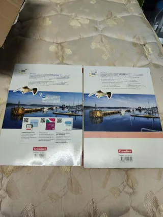 PANORAMA : livres d'exercices B1+cd audio (Germ...