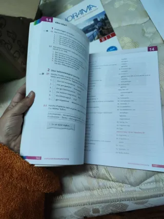 PANORAMA : livres d'exercices B1+cd audio (Germ...