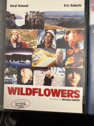 Lote 4 Películas DVD: Two Hands, Vecinos Sospechos