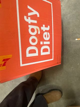 Moulinex Easy Fry Max 5L Freidora