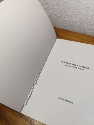 El Pecat dels Àngels - Xavier Solé i Pla