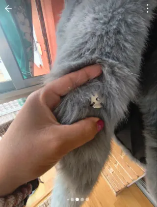 Chaqueta pelo sintético gris Talla S