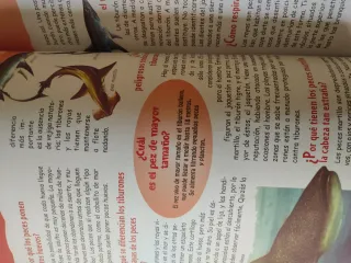 El porqué de la cosas