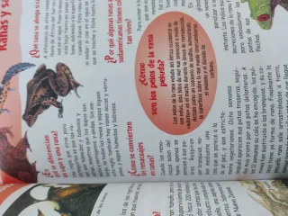 El porqué de la cosas