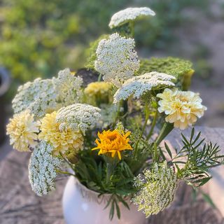 Semi Amiflora – decorazione & bouquet