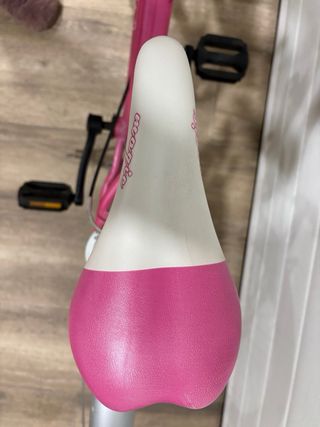 Bicicleta Infantil JL-Wenti 20