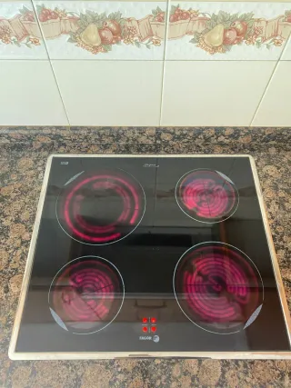 Vitrocerámica Fagor con horno