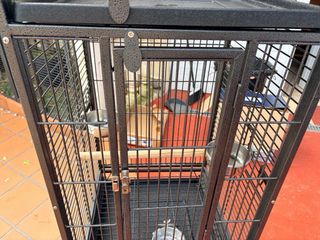 Jaula para loros pequeños