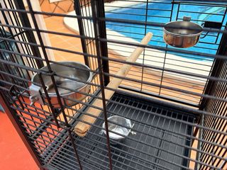 Jaula para loros pequeños