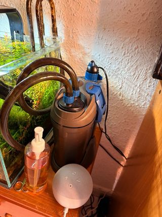 Acuario Blau 30L con plantas y accesorios