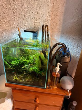 Acuario Blau 30L con plantas y accesorios