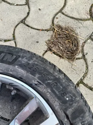 Neumático Michelin 225/55 R18