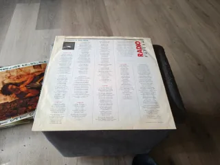 Radio Futura - La Canción de Juan Perro Vinilo LP