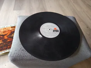 Radio Futura - La Canción de Juan Perro Vinilo LP