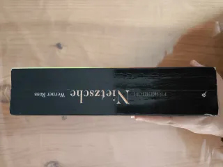 Friedrich Nietzsche. El águila angustiada.