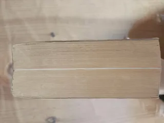 Friedrich Nietzsche. El águila angustiada.