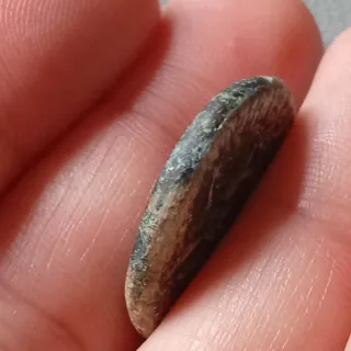 ≡ Espectacular Moneda romana emperador Neron