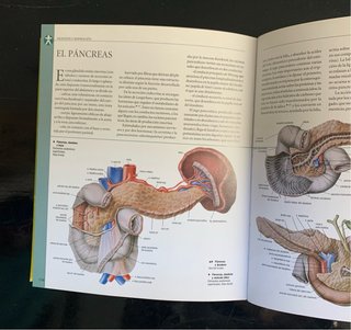 Anatomía Libro didáctico
