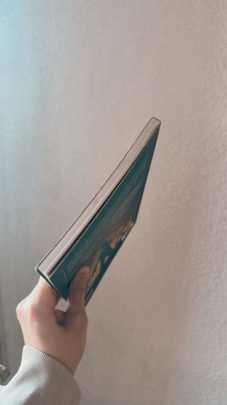 Novela Gráfica TURF