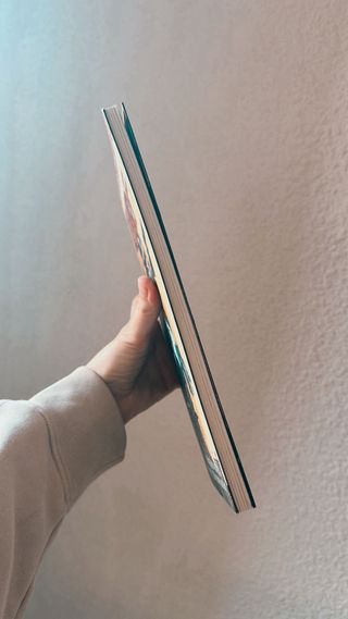 Novela Gráfica TURF