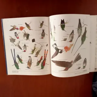 Enciclopedia ilustrada de las Aves.