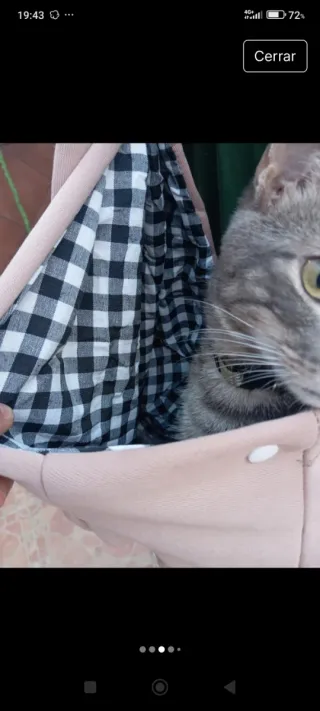 Bolsa transportín para mascotas azul