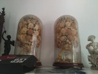 Pareja vitrinas  con conchas madera cristal