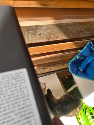 Estufa a gas Equation prácticamente nueva