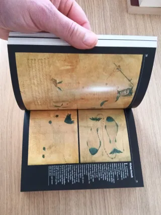 La escritura, archivo de la memoria