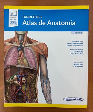 PROMETHEUS Atlas of Anatomy 第4版 Amazon.com: Prometheus. Atlas de Anatomía 4º ed (+ ebook