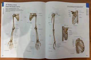 Prometheus. Atlas de Anatomía 4º ed (+ ebook) de segunda mano por