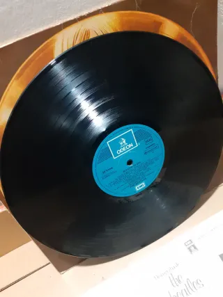 The Beatles - 20 Éxitos de Oro Vinilo