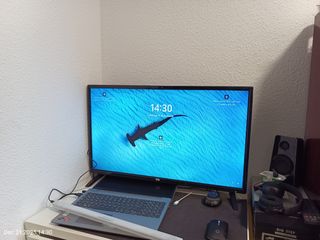 Pantalla TV TDSystem 32 Negra