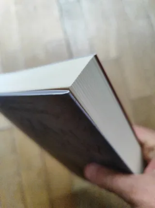 Caza al convoy. El triunfo de la Armada español...