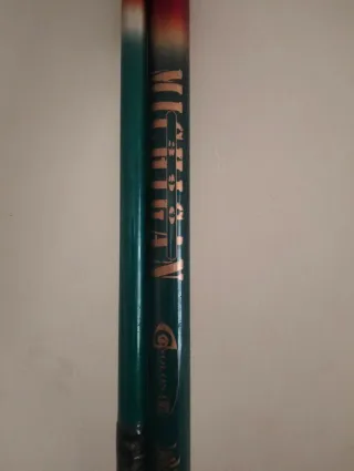 Caña de pescar con carrete