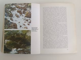 Ecología de Ramón Margalef