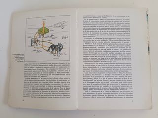 Ecología de Ramón Margalef