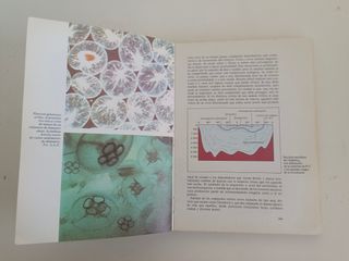 Ecología de Ramón Margalef