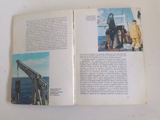 Ecología de Ramón Margalef