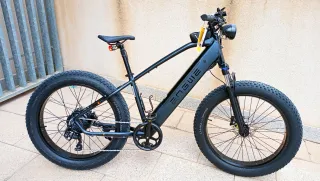 Bicicleta Eléctrica Todoterreno Fat Bike