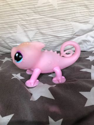 Camaleón Sunny Little Live Pets