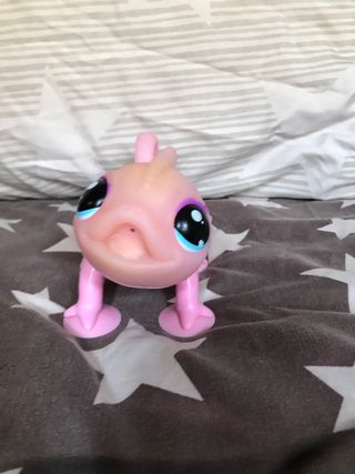 Camaleón Sunny Little Live Pets