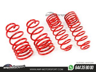 MUELLES DEPORTIVOS MTS TECHNIK MTSXVW116