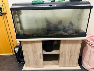 Pecera grande en perfecto estado 1000L con filtro.