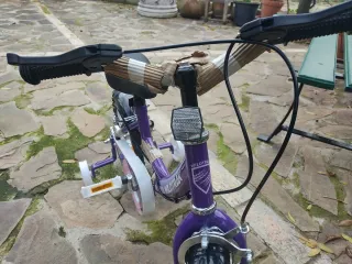 Bicicleta Niña Wildtrak 12 pulgadas