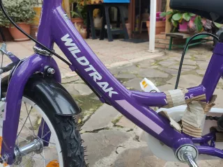 Bicicleta Niña Wildtrak 12 pulgadas