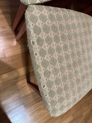 Conjunto de 6 sillas tapizadas para restaurar