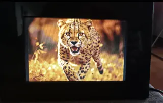 Marco Digital Fotos Sony