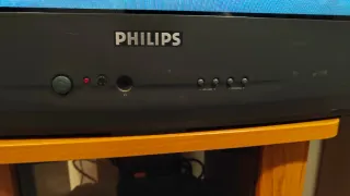 Televisor Philips CRT 28PT5125/01 Negro