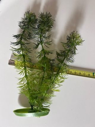 Planta artificial acuario Ambulia 22 cm